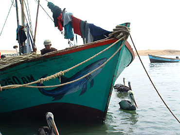 Bateau de pêche